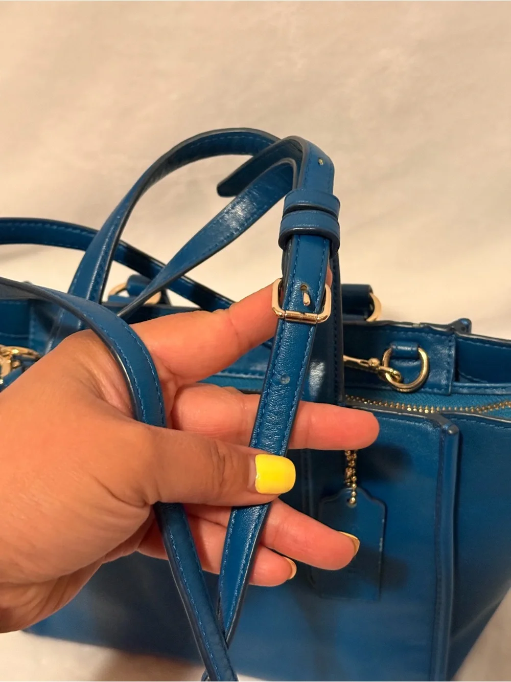 Coach Crosby Mini Carryall in Smooth Leather
